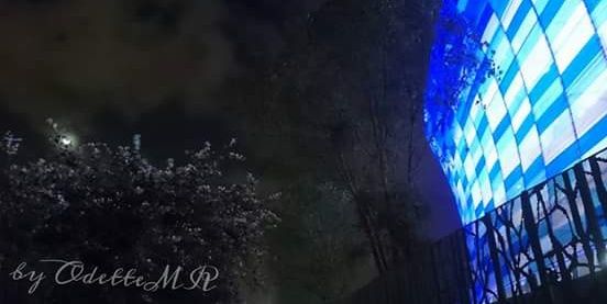 Odette_MR's profile banner image