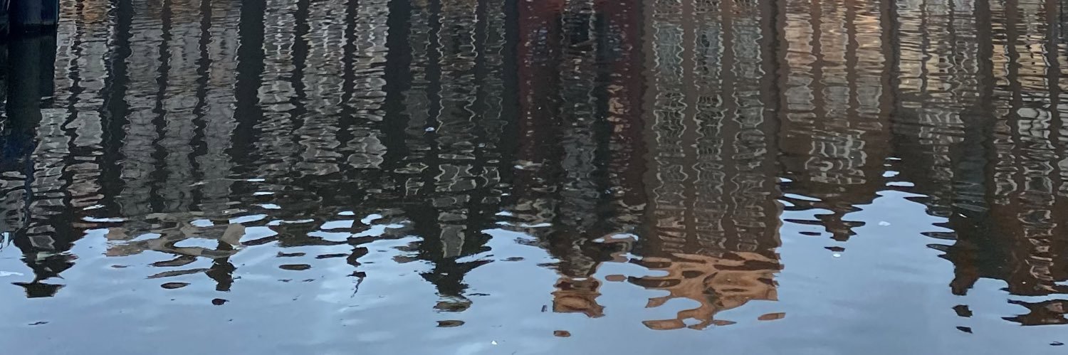 BertaOC6's profile banner image