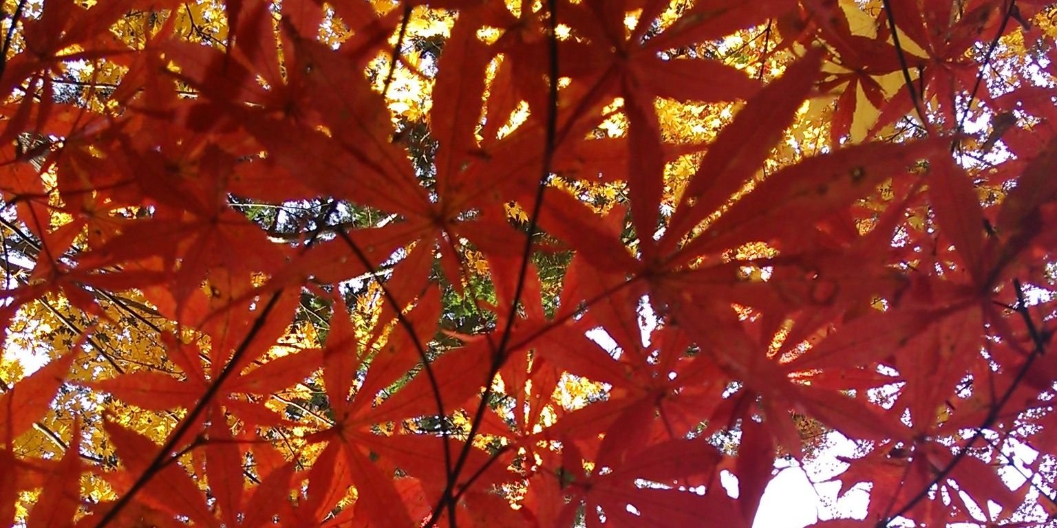 kiruto6927's profile banner image