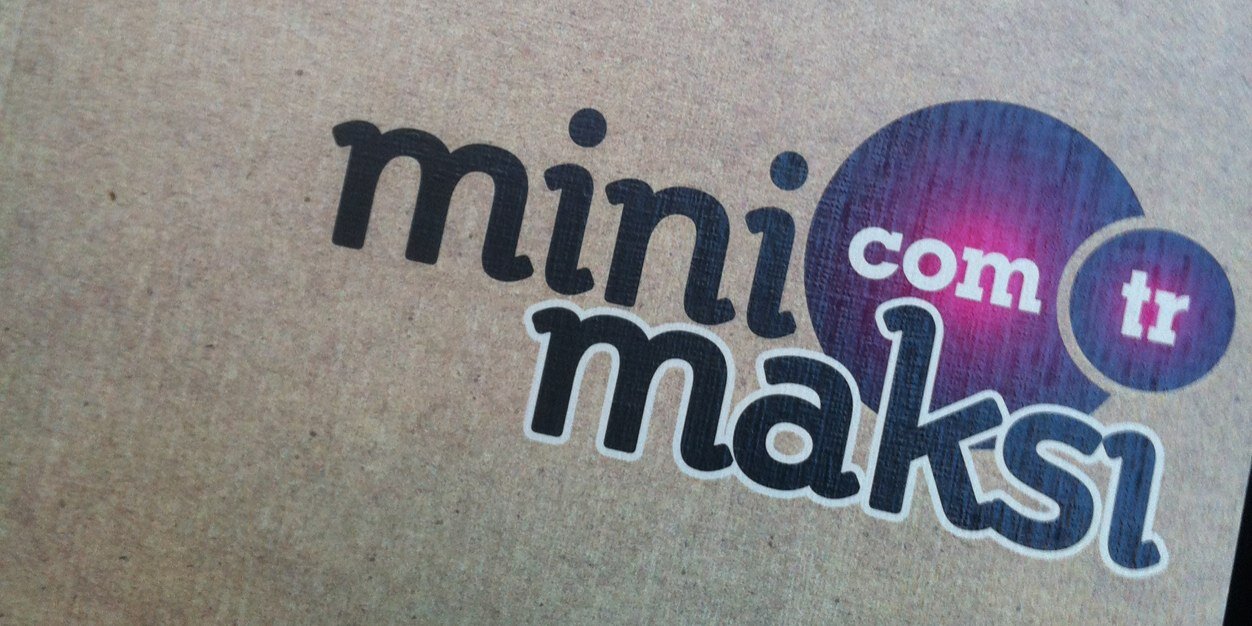 minivemaksi's profile banner image