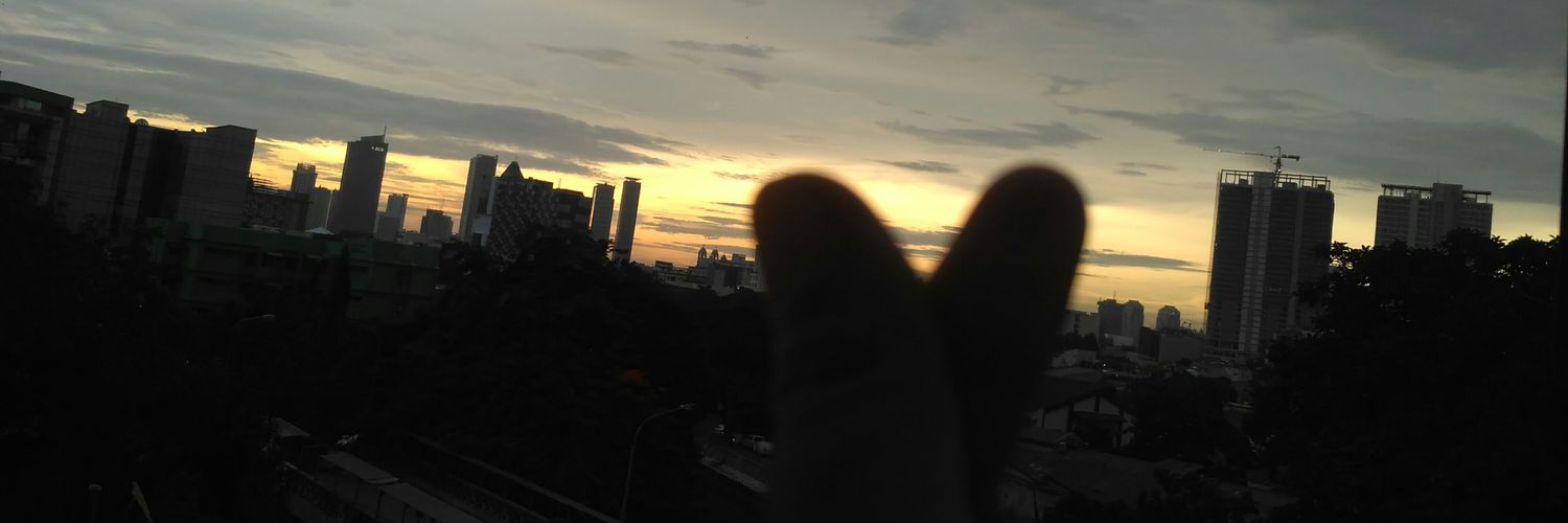 ris_kiky's profile banner image
