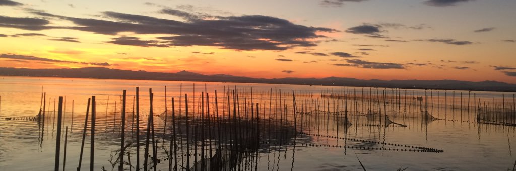 AitorGds91's profile banner image