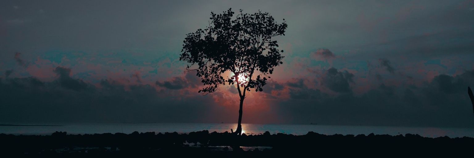dhanangr_'s profile banner image