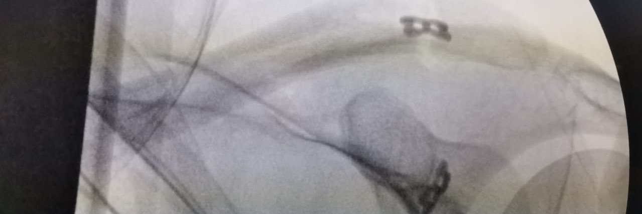 DocThorAlarcon's profile banner image