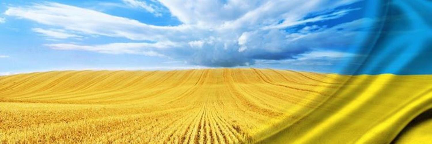 Pavlo Bubnov 25% banner