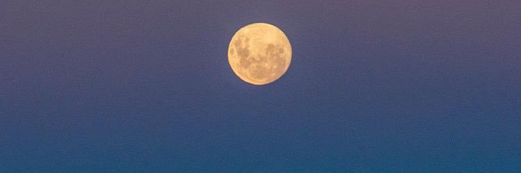 Irmaputerif's profile banner image