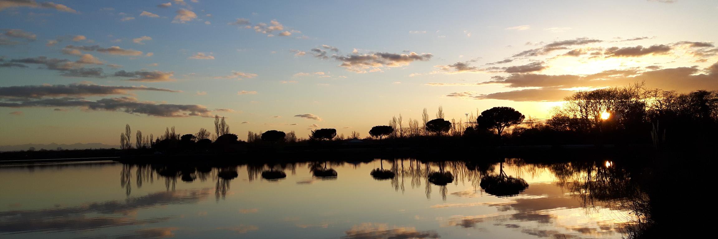 Limann KANCENACK 🇨🇵🇮🇱 🎗️🐾 banner