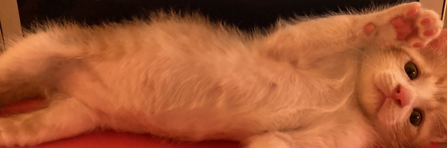 Kyo630's profile banner image