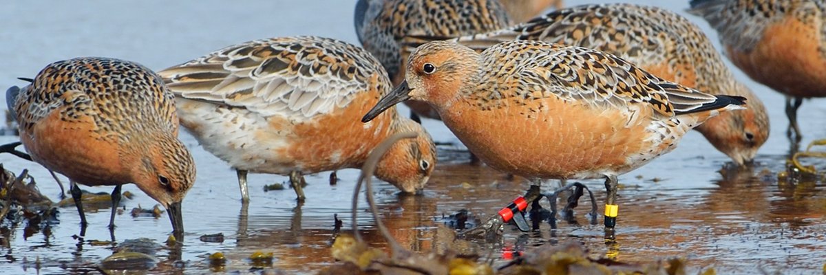 PhilippaSitters's profile banner image