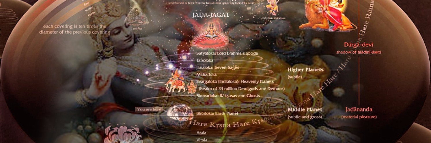 narayanalaksmi's profile banner image