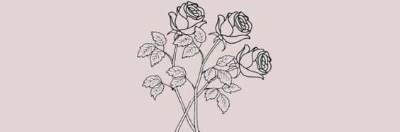 HayleeDot's profile banner image