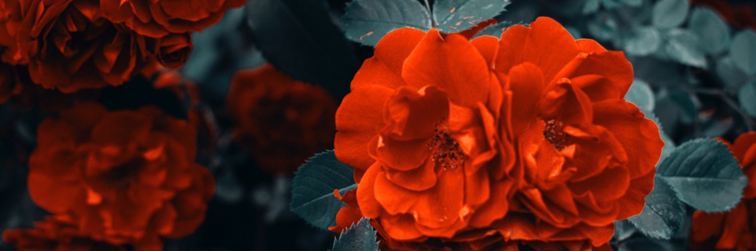 i9g4_'s profile banner image