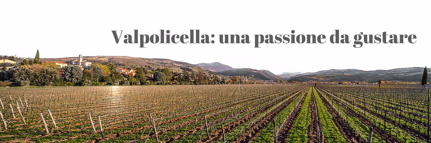 STRVALPOLICELLA's profile banner image