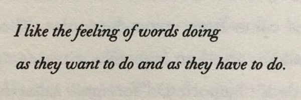 ace_writergirl Profile Banner