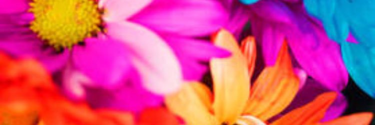enoki__jp's profile banner image