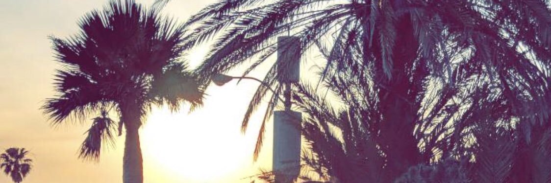 allannah_doig's profile banner image