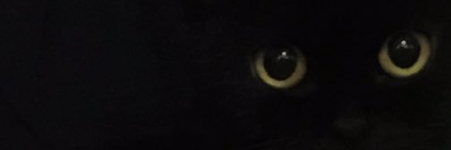 admiral_michael's profile banner image