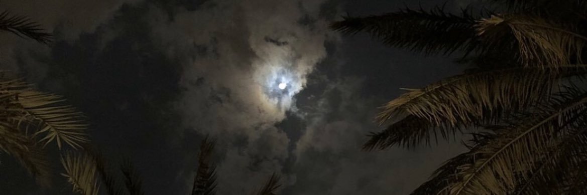 TalaAlmesned's profile banner image