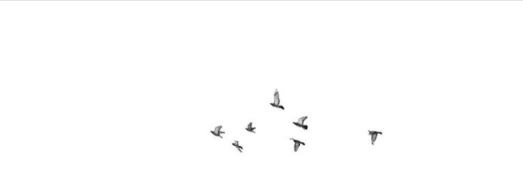 _iSarah9's profile banner image