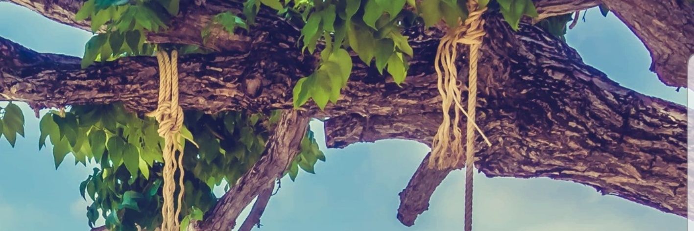 Saalhaf's profile banner image