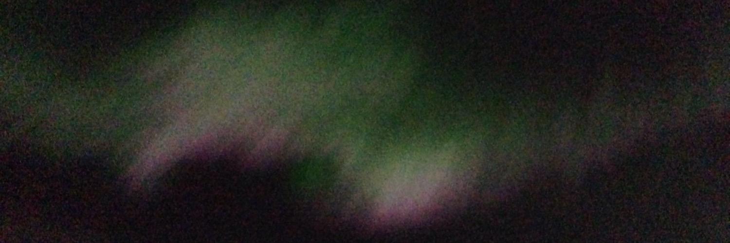 Petursteinns's profile banner image