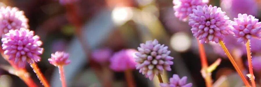 putrisryningsih's profile banner image
