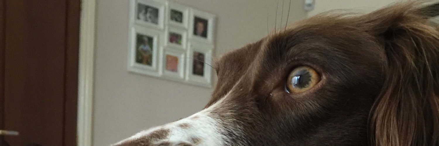 Catherine Pealing banner