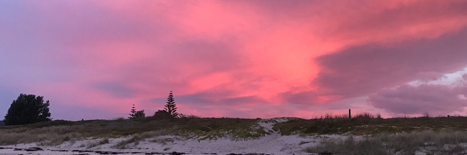 KiwiBirdInHeels's profile banner image