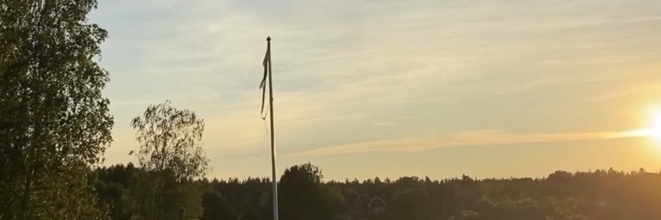 idaskogis's profile banner image