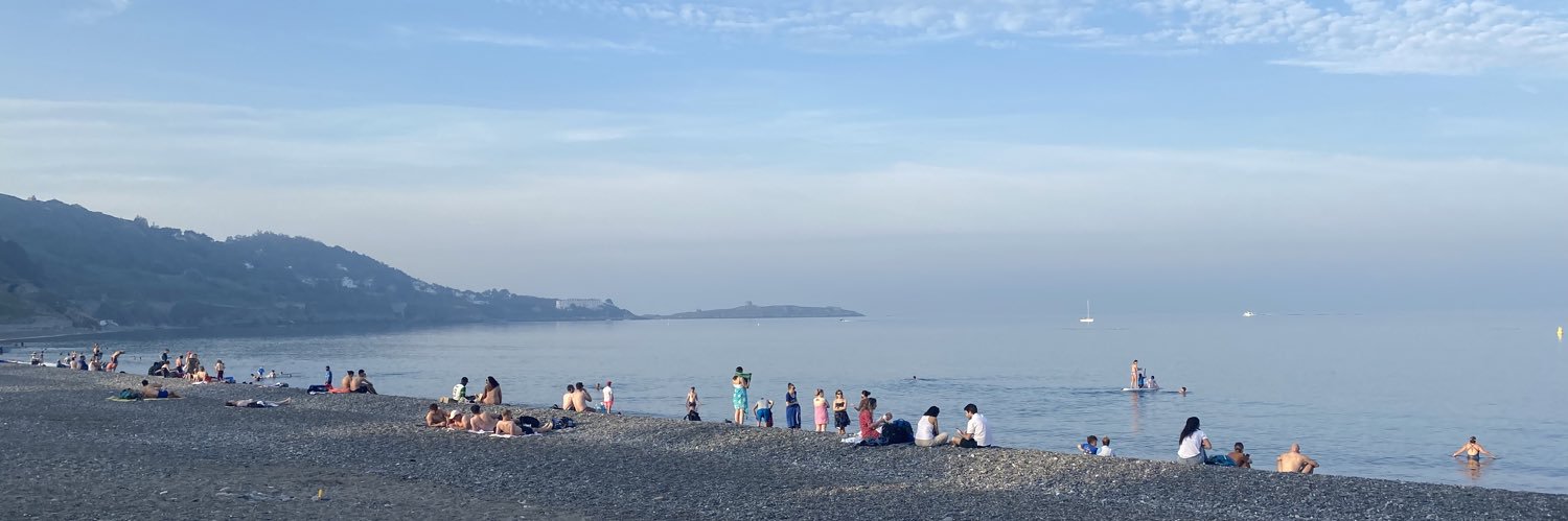 Dyllon Menton banner