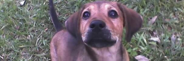 labchick2's profile banner image