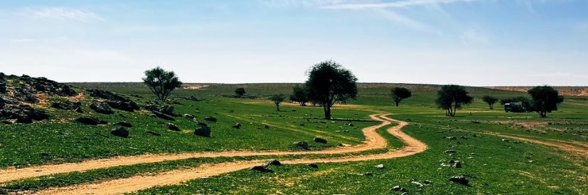 ابوعبدالملك 🥈 banner