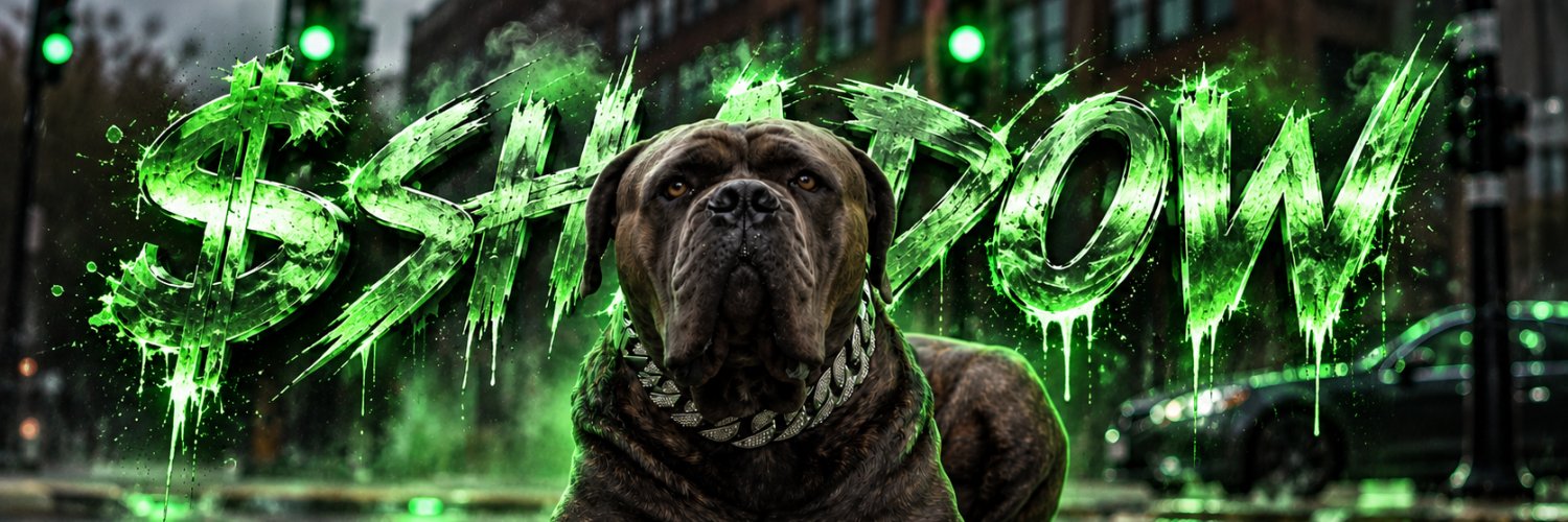 ShadowFriendlyD's profile banner image