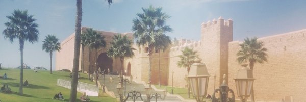 prokki Profile Banner