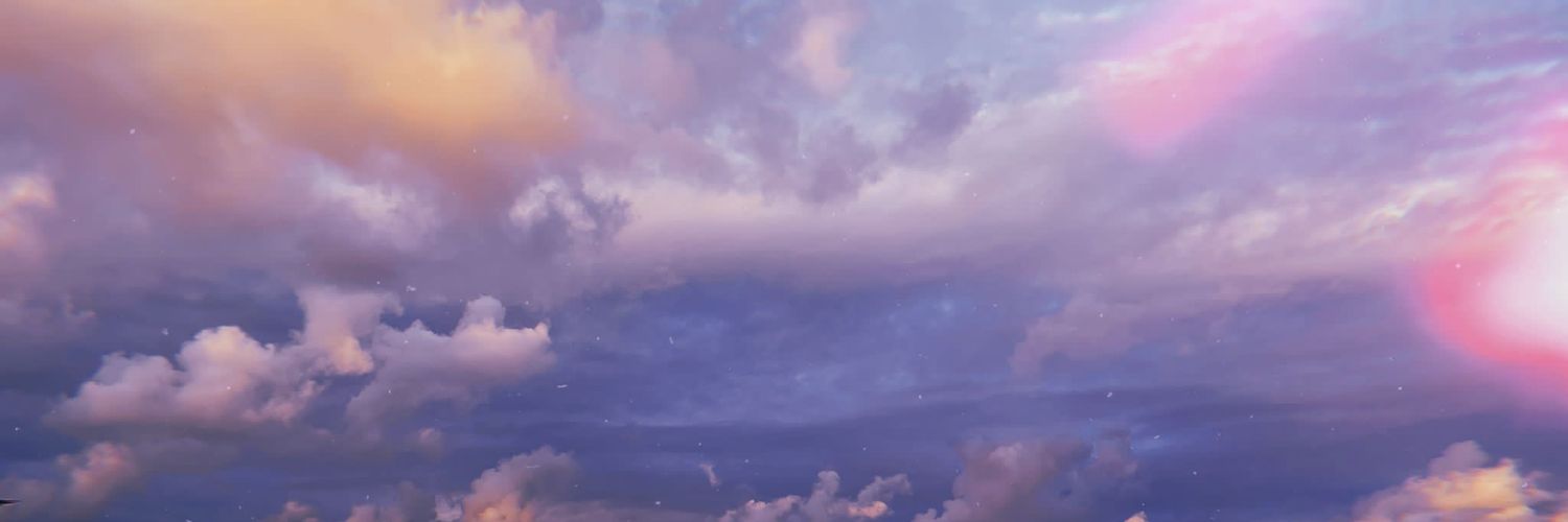 Ciran banner