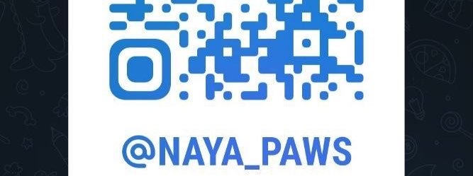 nay_knots's profile banner image