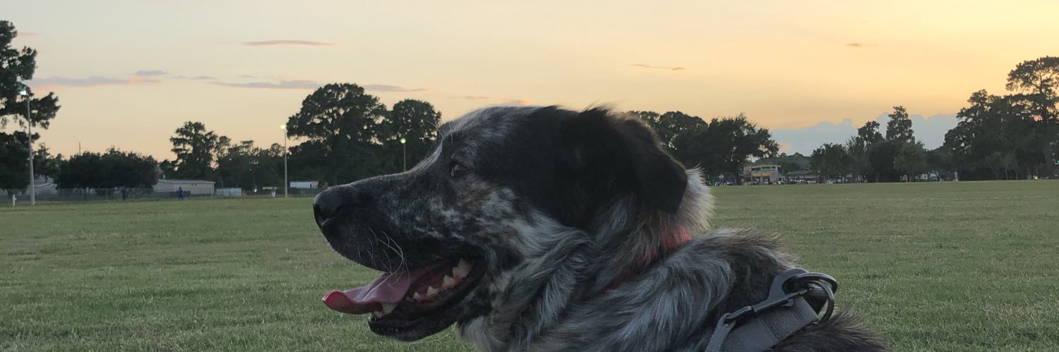 i_mightcry's profile banner image