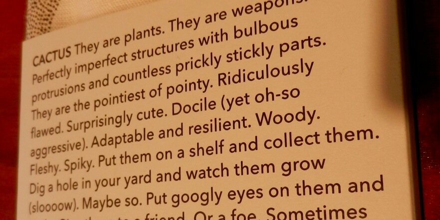 Cactus Heart Press banner