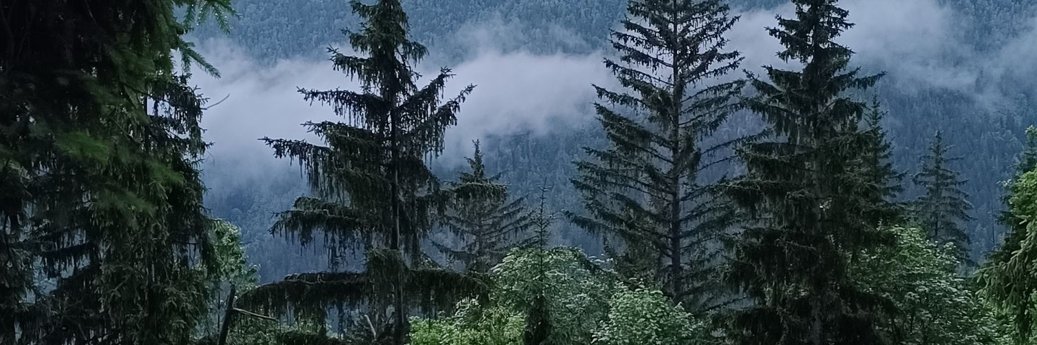 Gloo_28's profile banner image