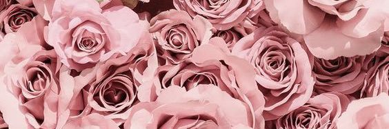 SassCass13's profile banner image