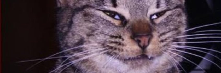 dimasmusa_'s profile banner image