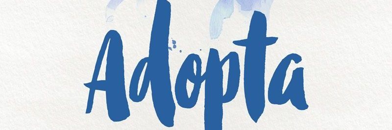 ImperioSusi's profile banner image