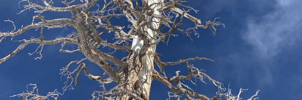 caskly Profile Banner