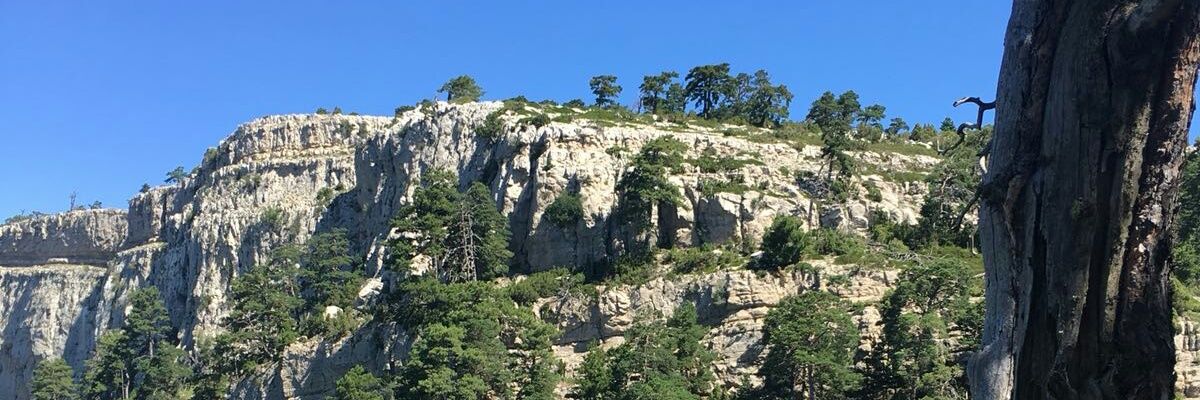 Prestigyo_com's profile banner image