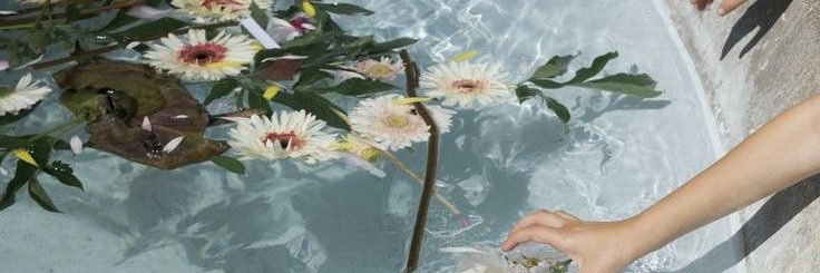 samicarey01's profile banner image