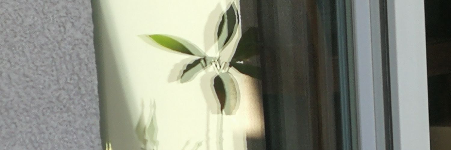 Noctambulise banner