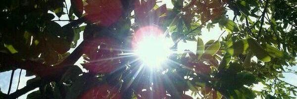 Krysderoland's profile banner image