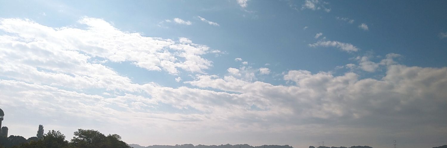 vottom's profile banner image