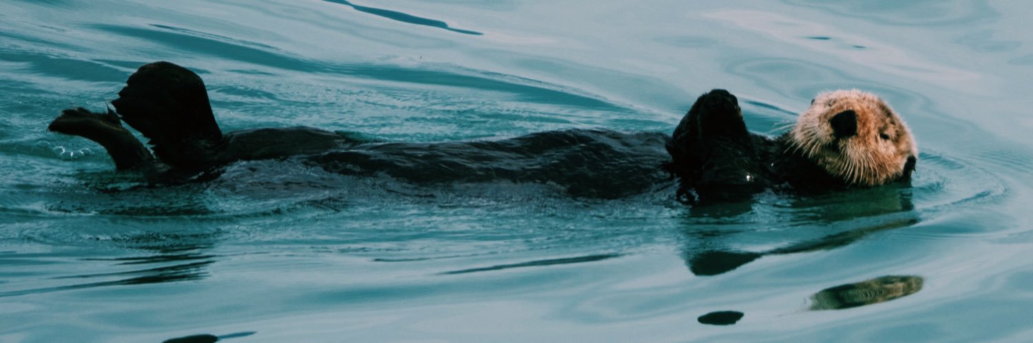 Tinaargh's profile banner image