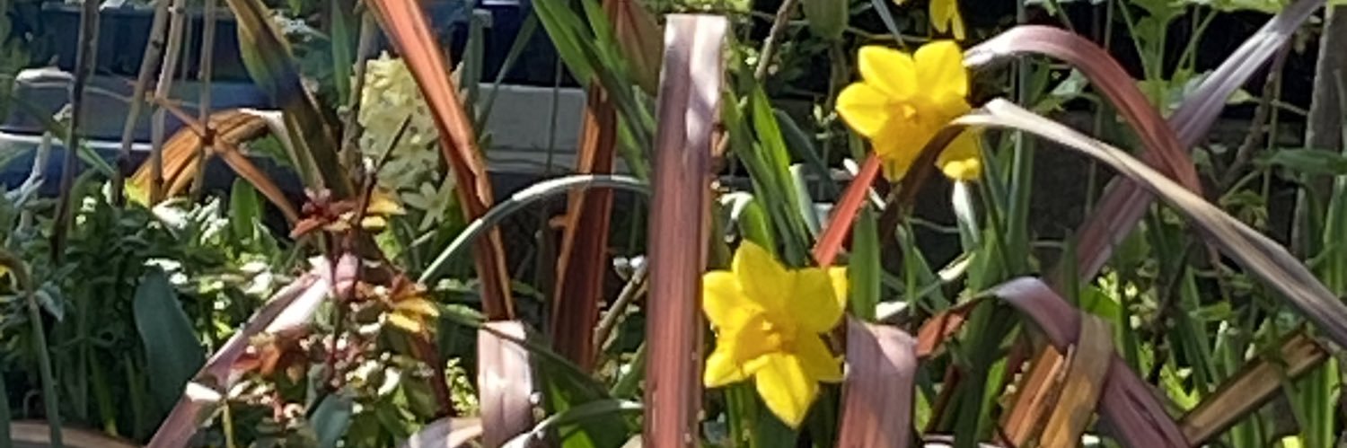 ClairedeMort's profile banner image